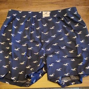 Hollister Boxers With Seagulls